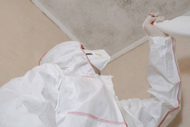 Best Bathroom Mold Remediation in Liberty, UT